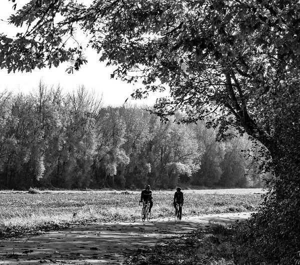 Gulin, Sylvia 아티스트의 USA-Washington State-Fall City black and white two bike riders along Neal Rd SE작품입니다.